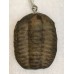 Přívěšek z trilobita